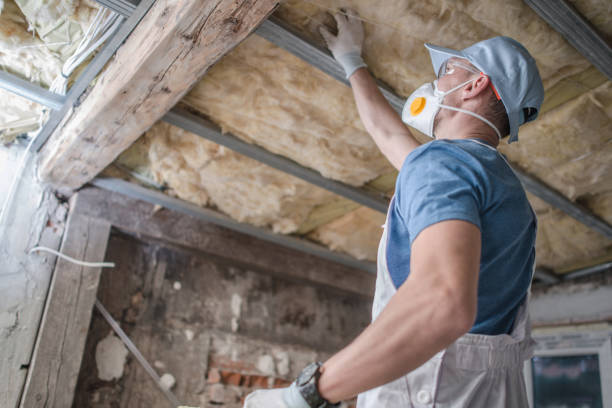 Types of Insulation We Offer in Bellwood, PA