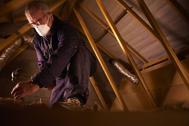 Best Specialized Insulation Services in Bellwood, PA